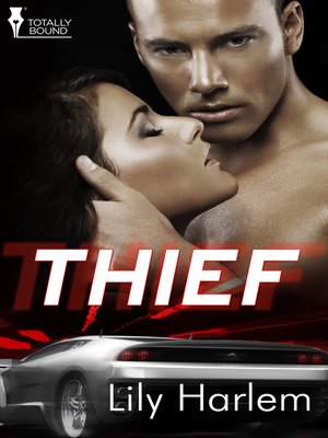 cover image of Thief